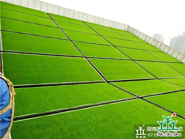 湘潭市博物館與規(guī)劃館，屋頂人造草皮綠化施工案例