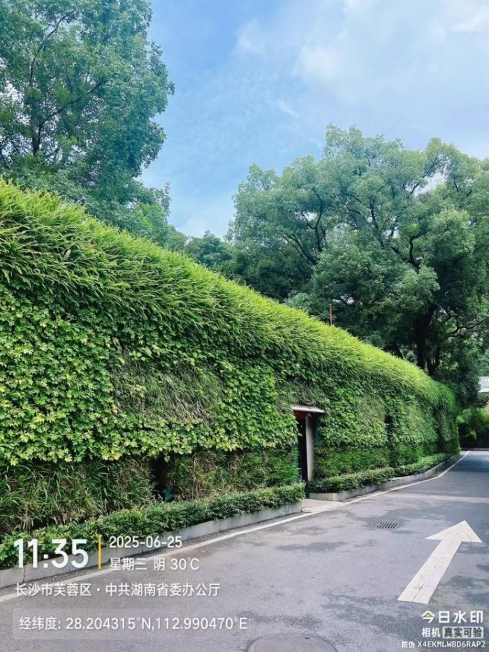 湖南草字頭生態(tài)環(huán)境建設有限公司,人造草坪假草皮,湖南雨水收集處理工藝