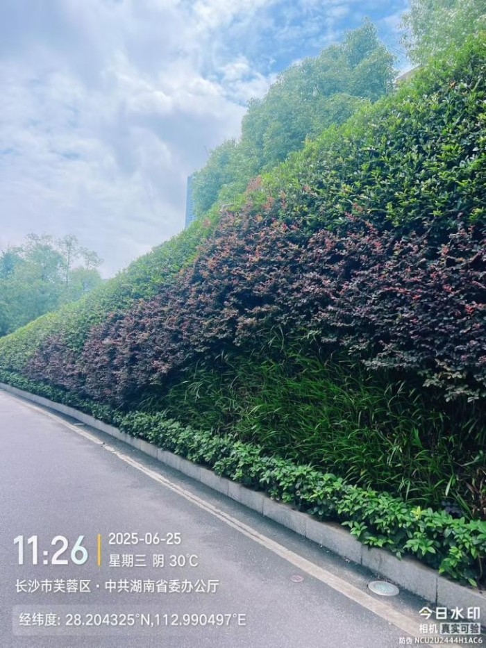 湖南草字頭生態(tài)環(huán)境建設有限公司,人造草坪假草皮,湖南雨水收集處理工藝